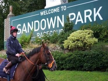Sandown hosts the first card of it's two-day meeting on Friday